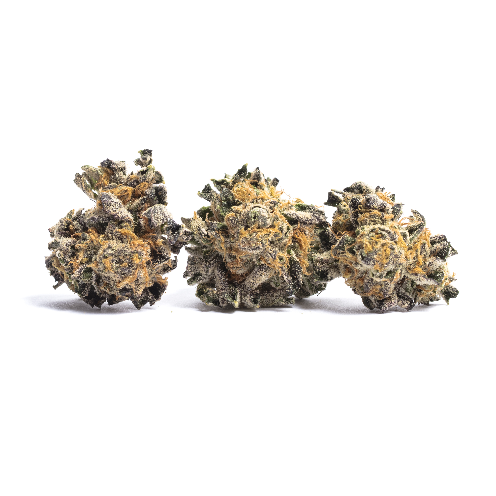 ANIMAL COOKIES 3.5G FLOWER