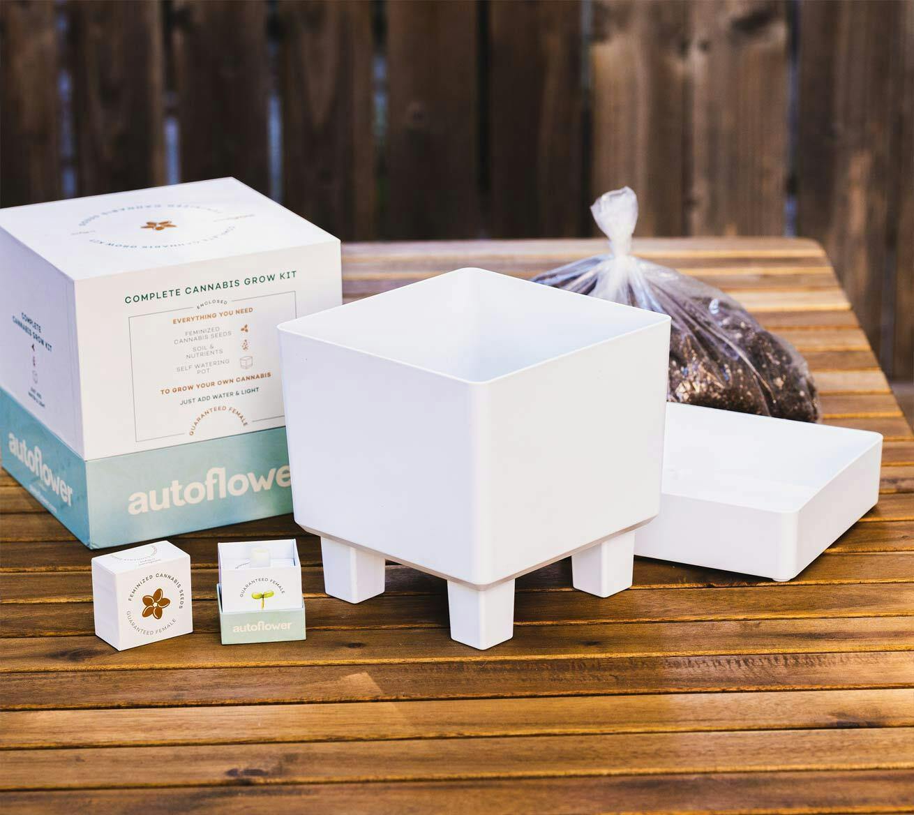 Zkittles GrowKit | Autoflower