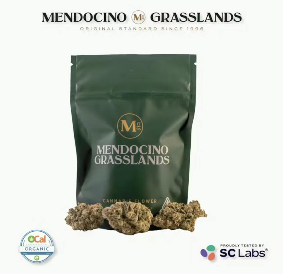 Mendocino Grasslands | Gov't Oasis | Flower 3.5g Bag