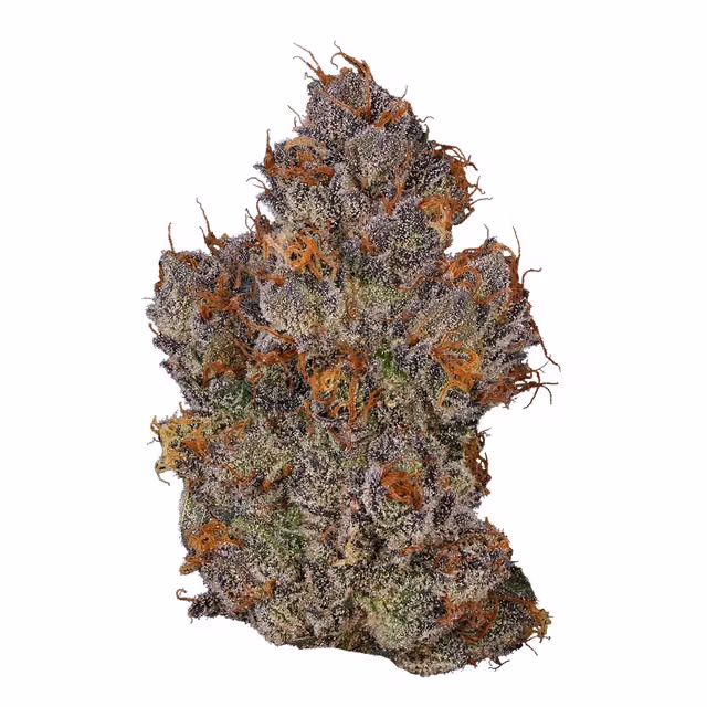 Couch Rider Indoor (3.5g)