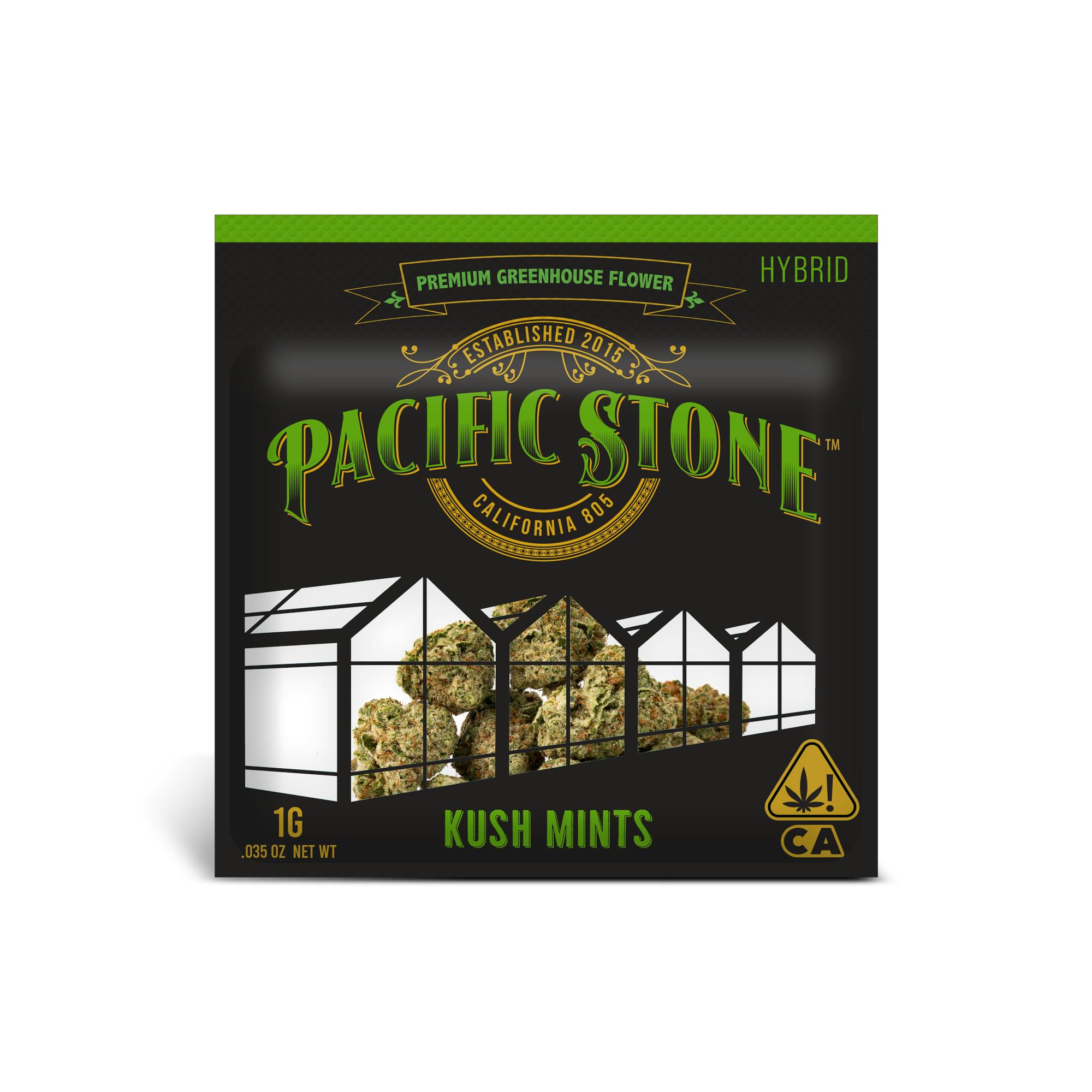 Pacific Stone | Flower 1g | H | Kush Mints