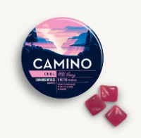 Camino - Wild Berry (h) - Gummies - 100mg