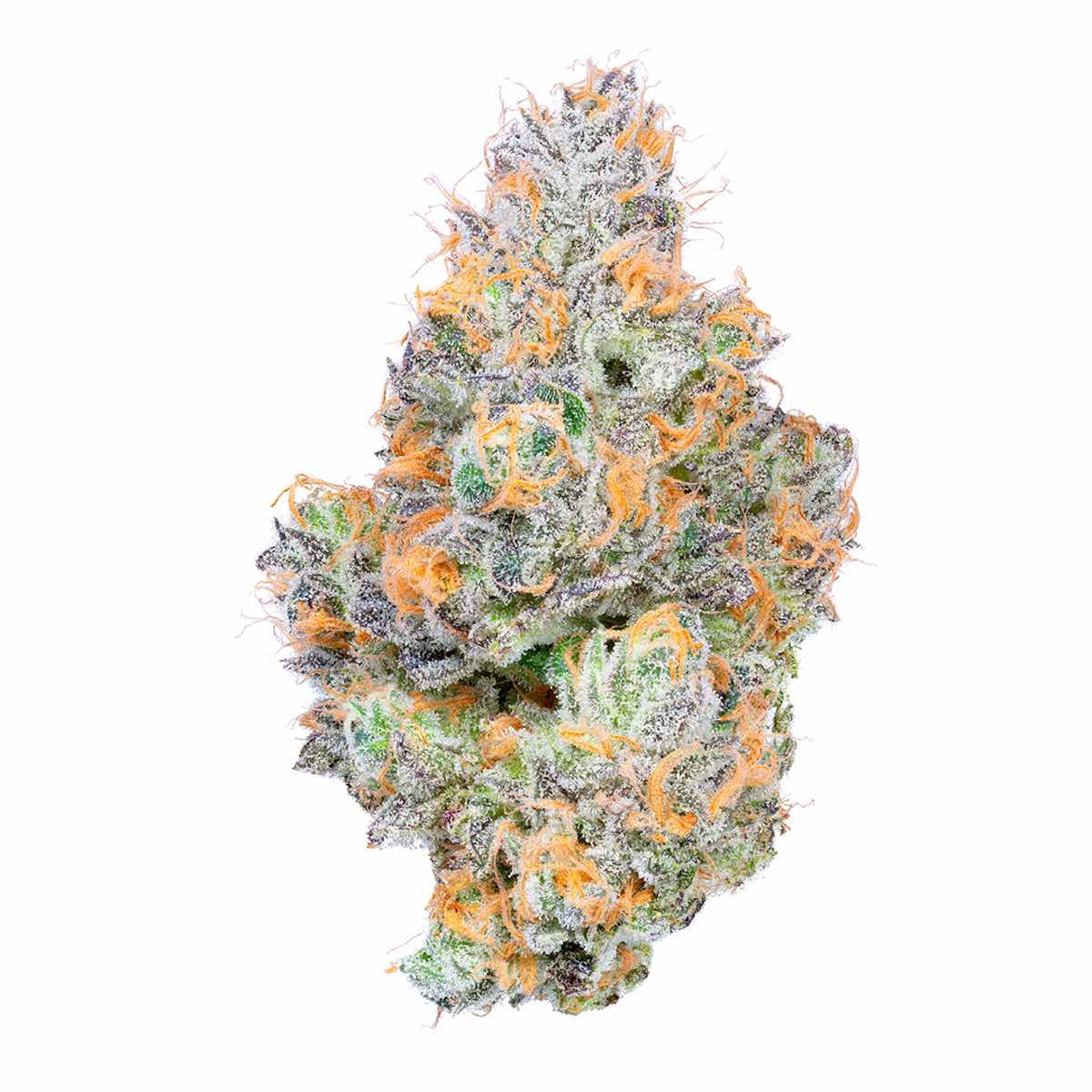 TROPICAL Z SMALLS 14G