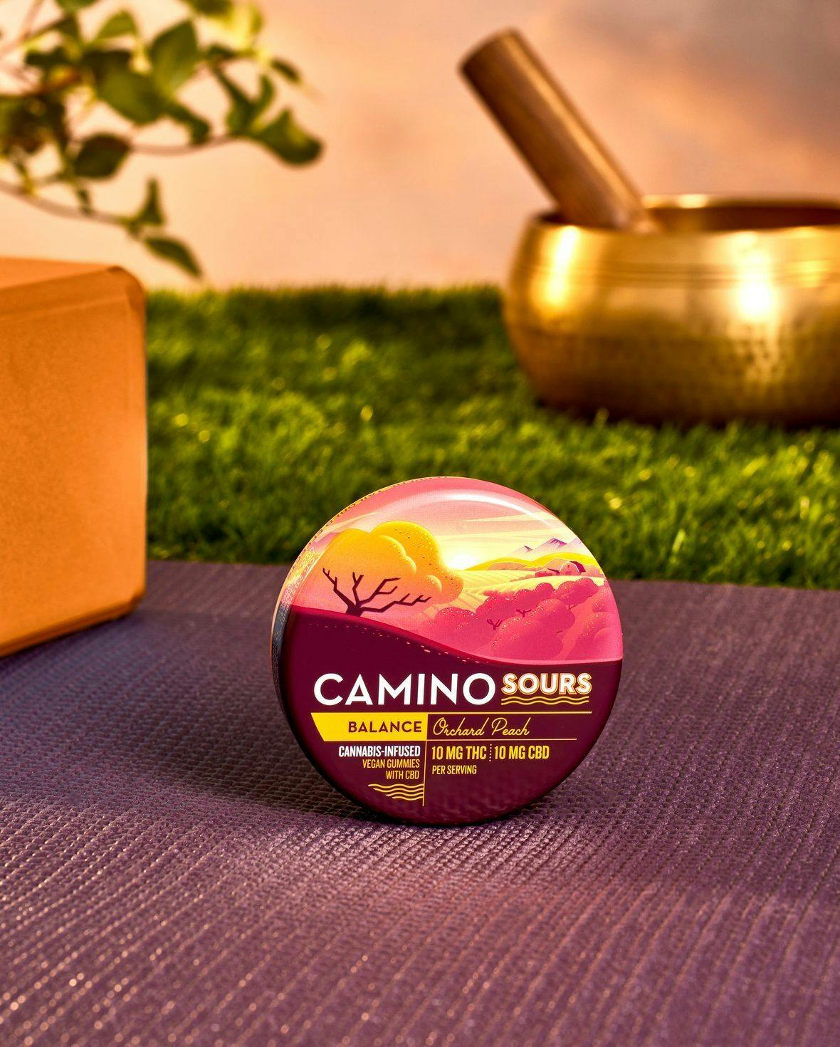 CAMINO SOURS ORCHARD PEACH