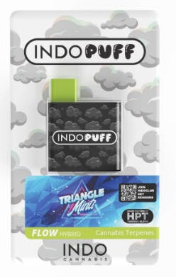 IndoPUFF - Triangle Mints Disposable (1G)