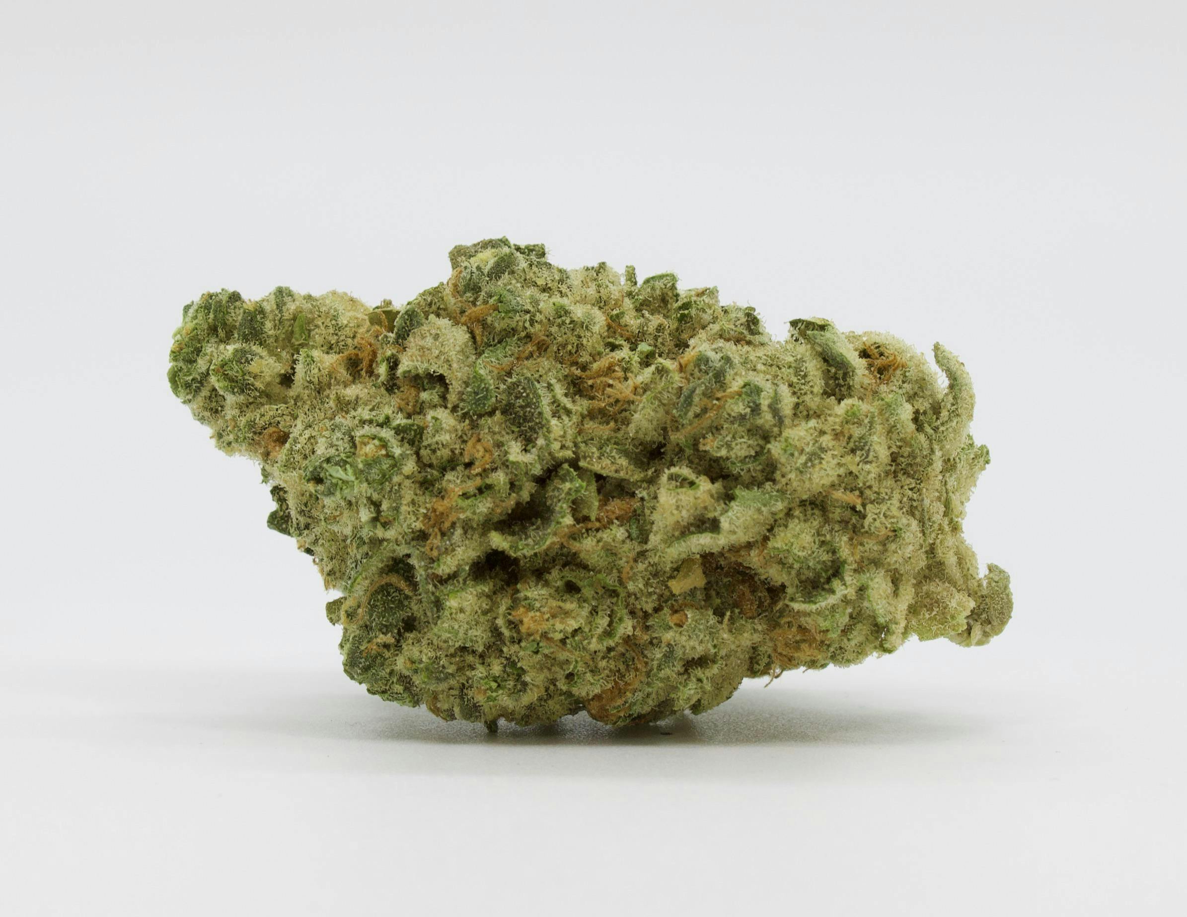 Sticky | Oreo Blizzard | Big Buds | 7g