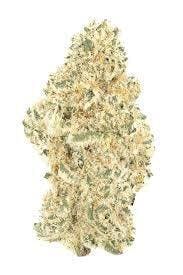 Green | Jungle Pie POPCORN