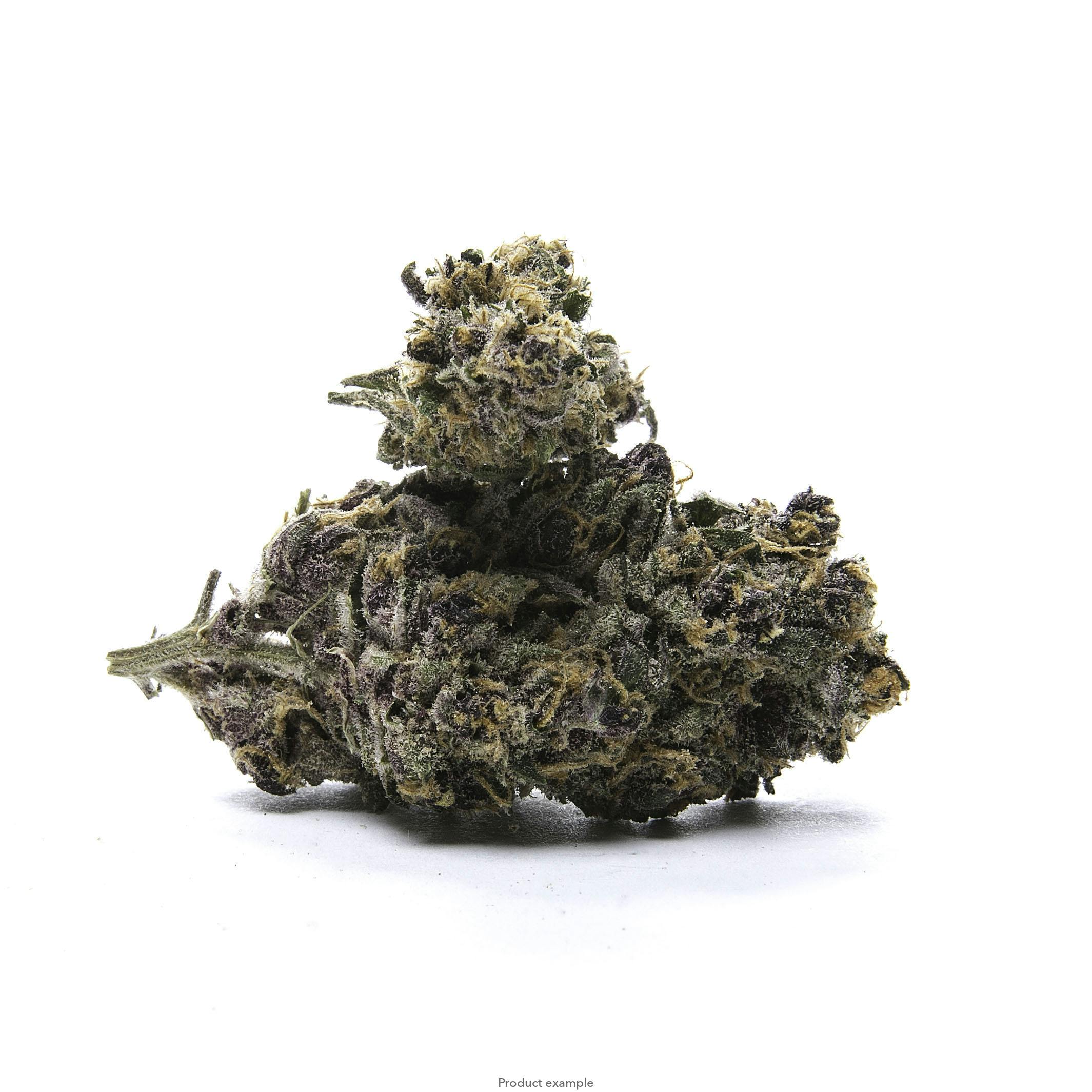 Fleur | Sin City CBD 3.5g