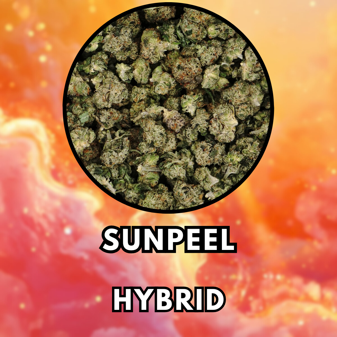 Flower - SunPeel - Special Tier