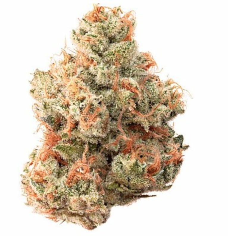 Nova Cane 3.5g