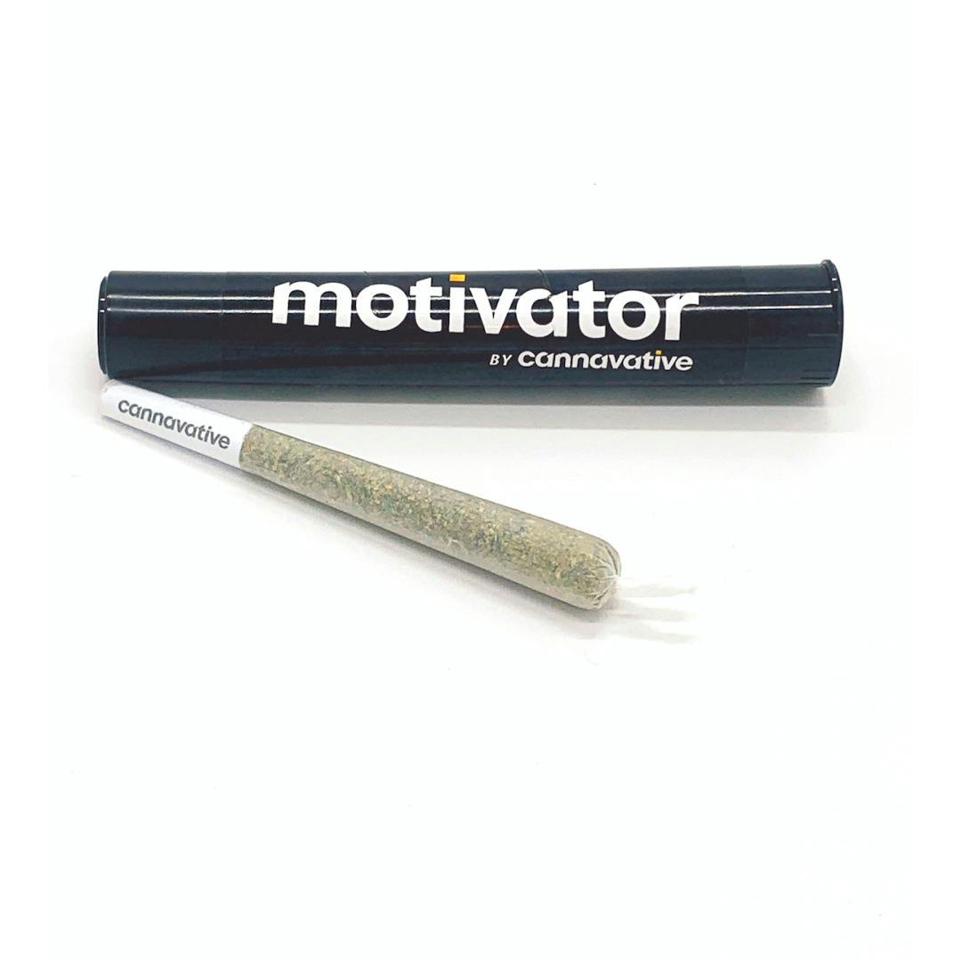 CannaVative Mazar Mule Motivator