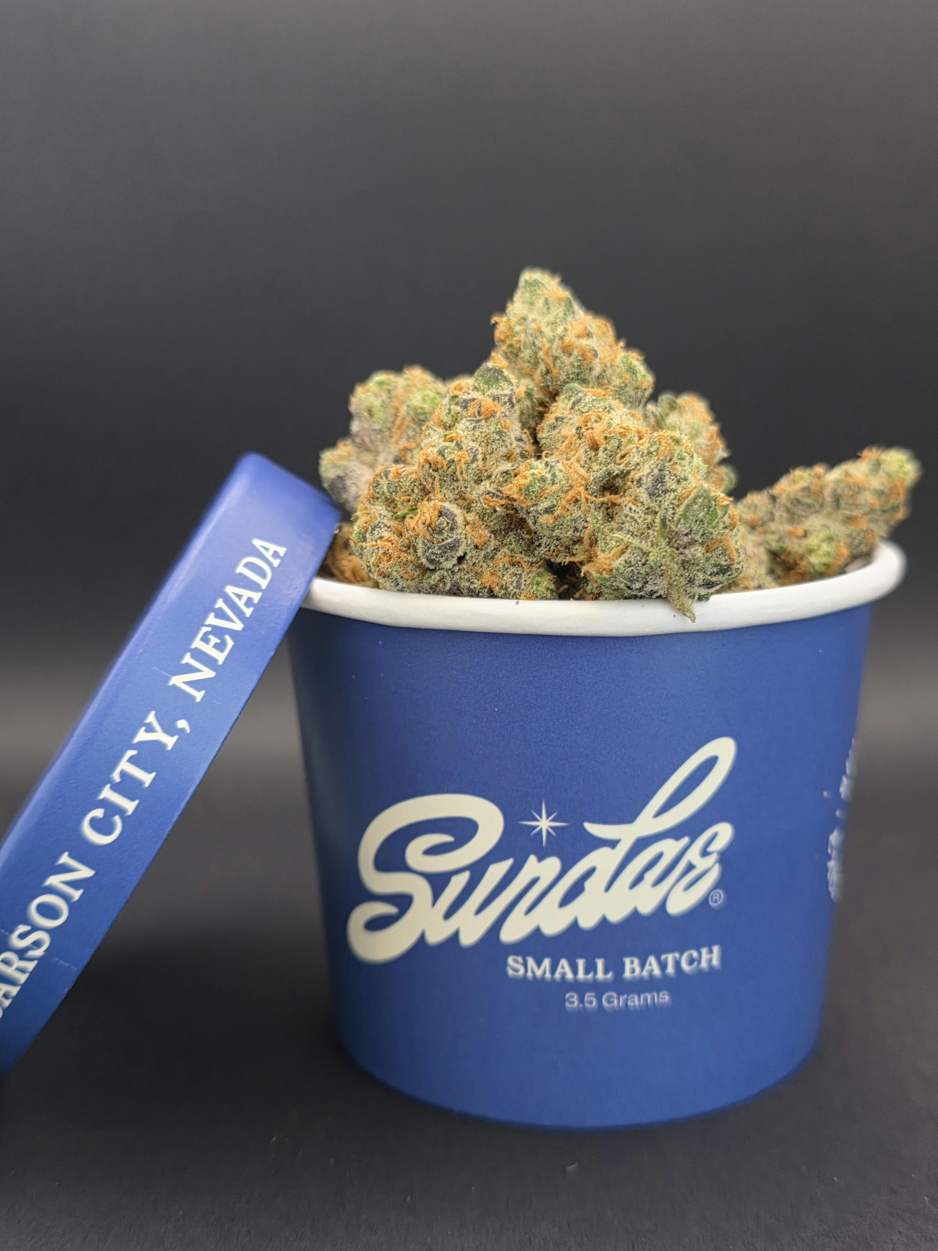 Sundae Co. Bolo Runts (H) Flower