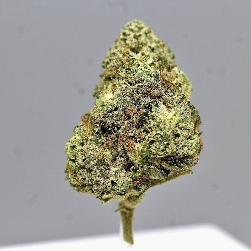 Revo - Popcorn OG 6g