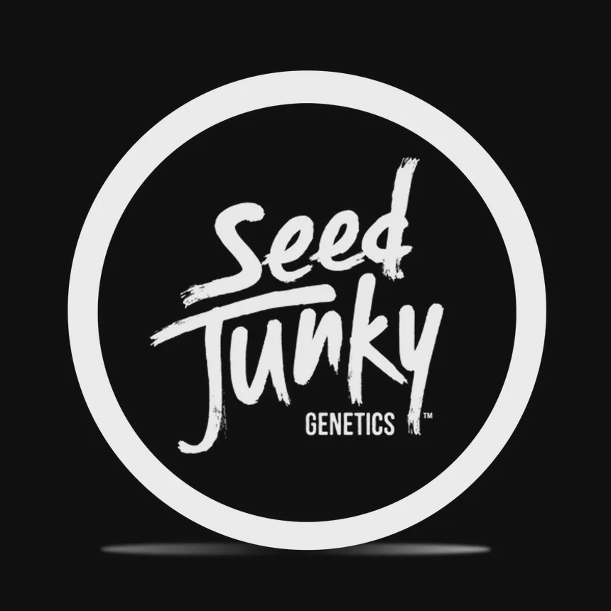 Seed Junky | Gello Shots (S) | 1g x 4 Preroll Joints