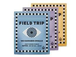Field Trip Smalls 10g G33