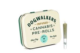 Dogwalkers - Regina George x Brownie Scout 3pk Infused Prerolls (1.35G)