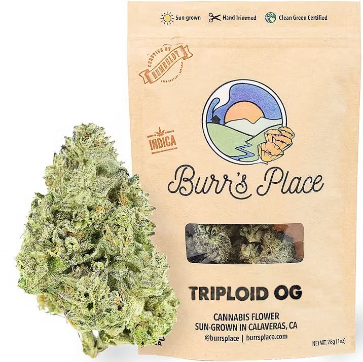 Burr's Place | Triploid OG | Flower | 3.5g