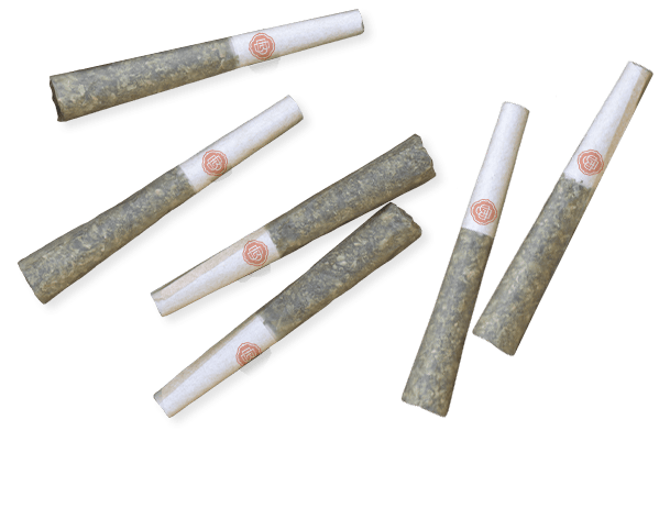 Candy Jam .5G Preroll