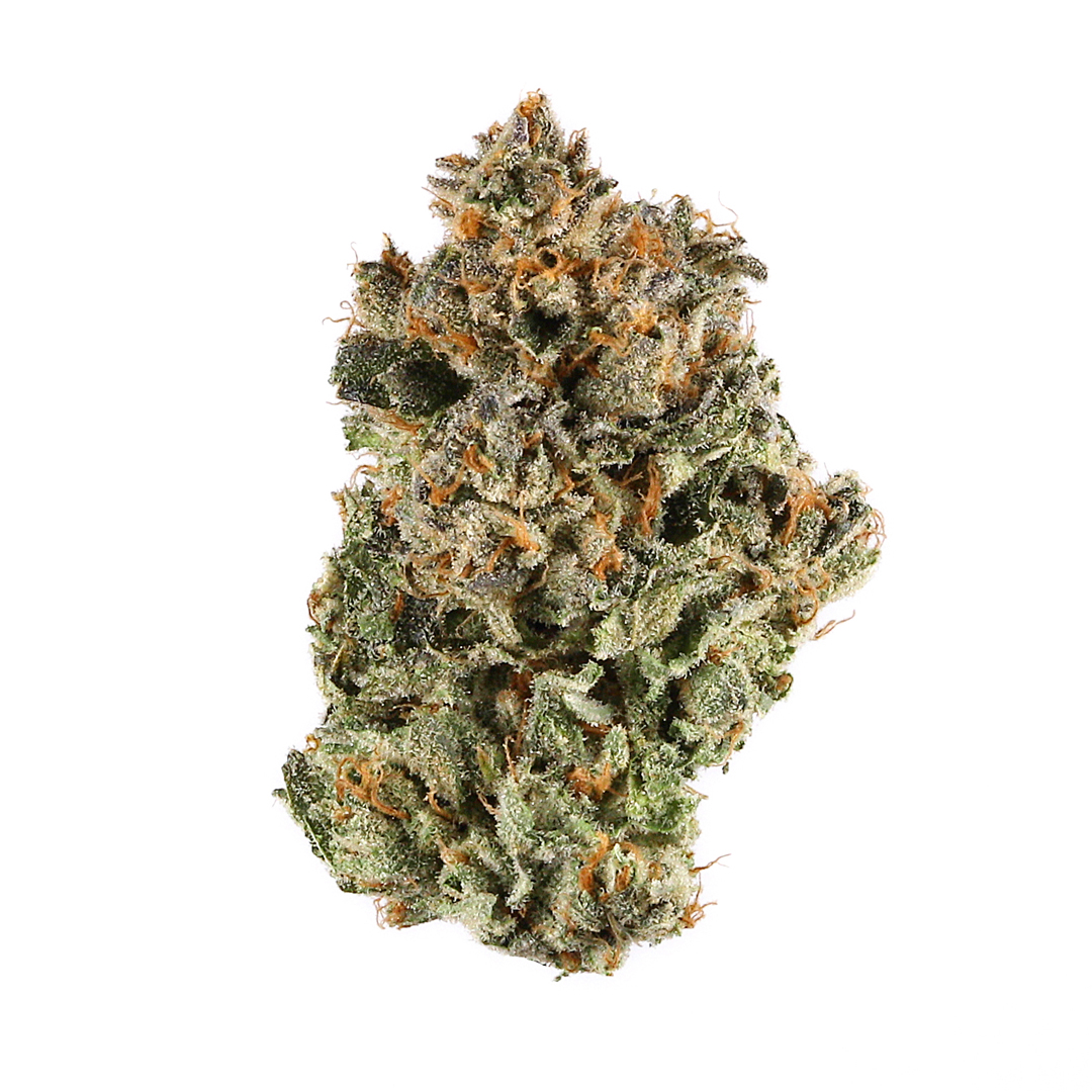 Biscotti Sherbet | Premium Flower | 3.5g