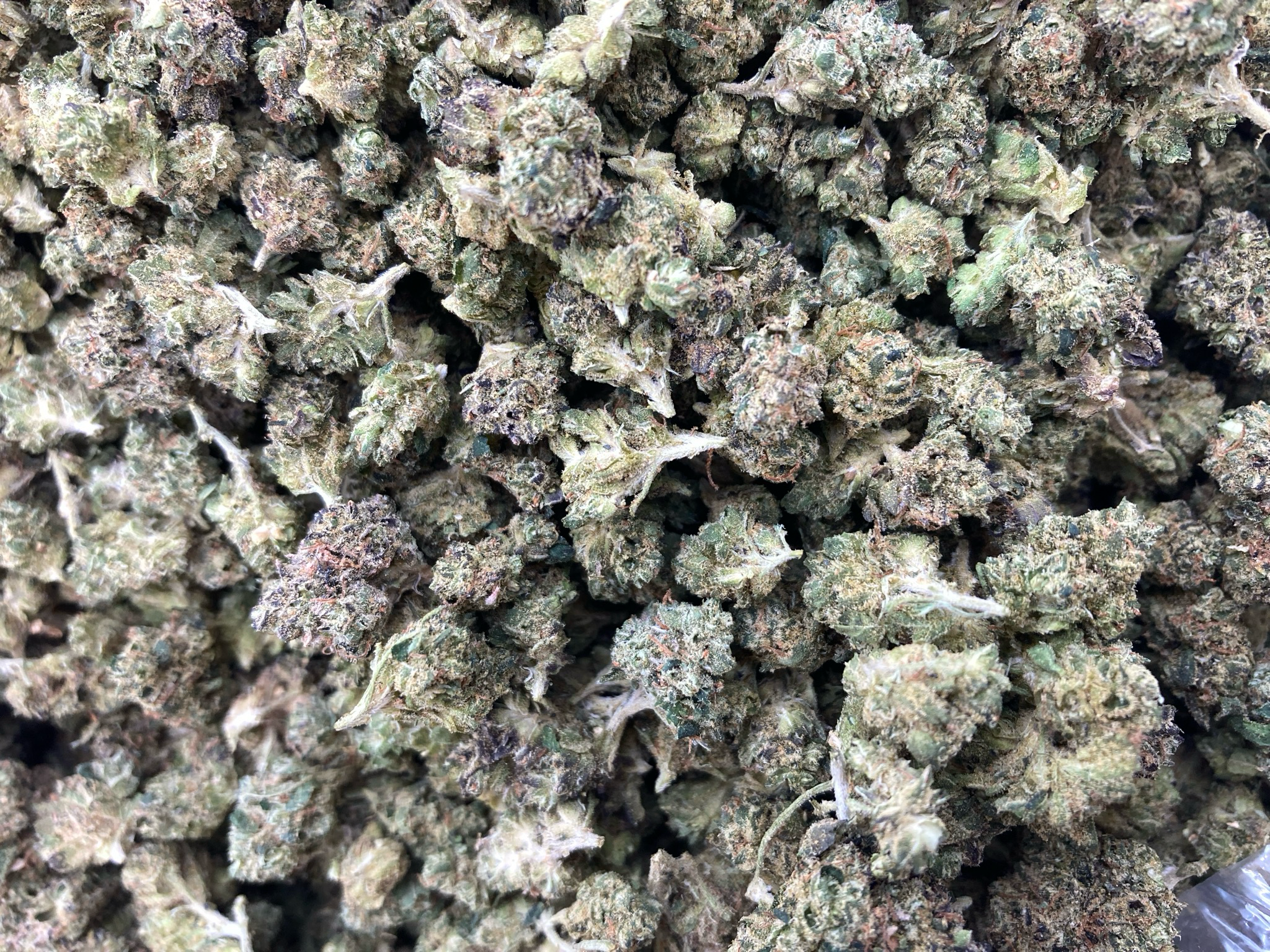 1oz PURPLE URKLE 29.91%