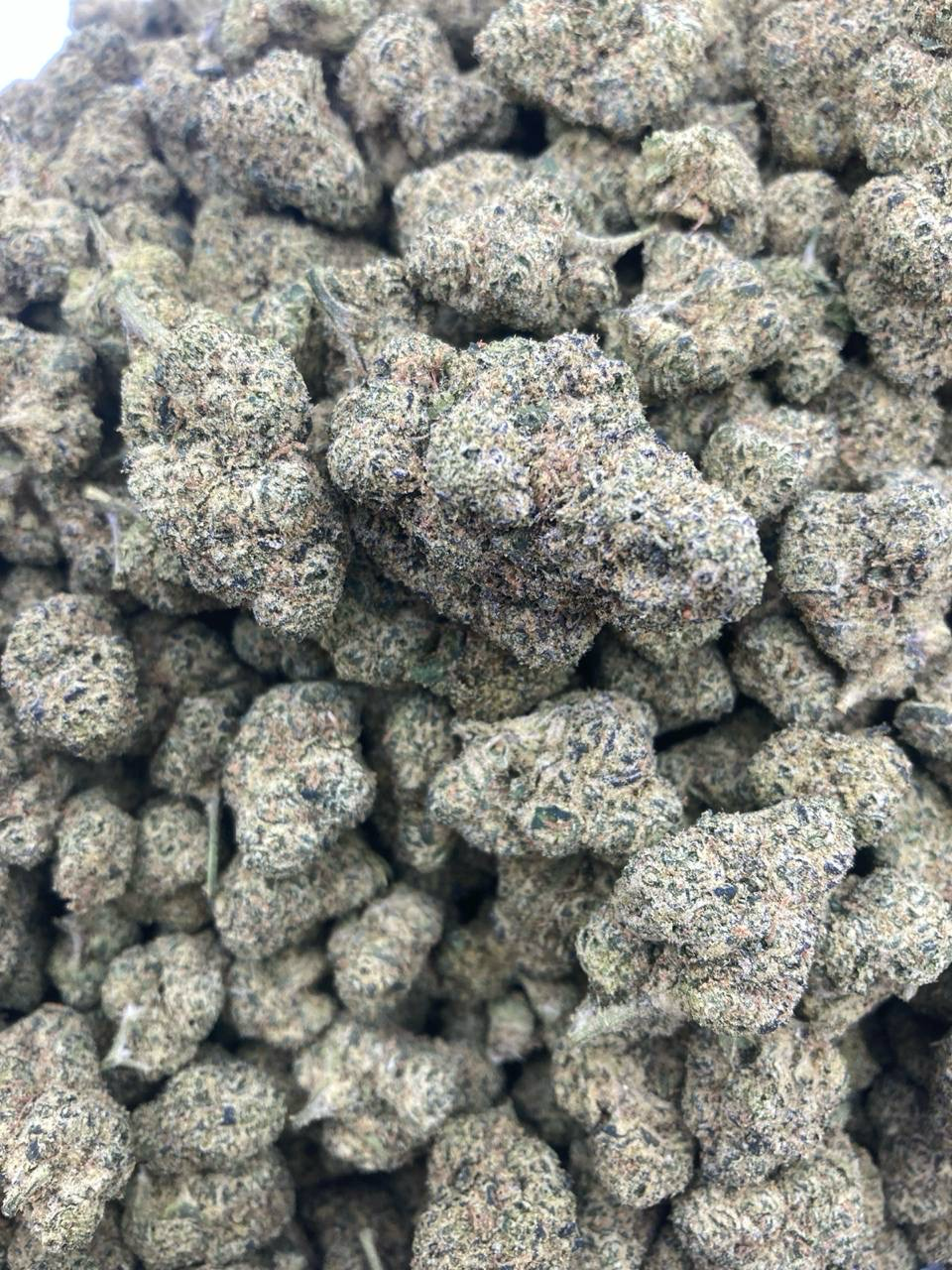 4G BLUE WIDOW 34.23%