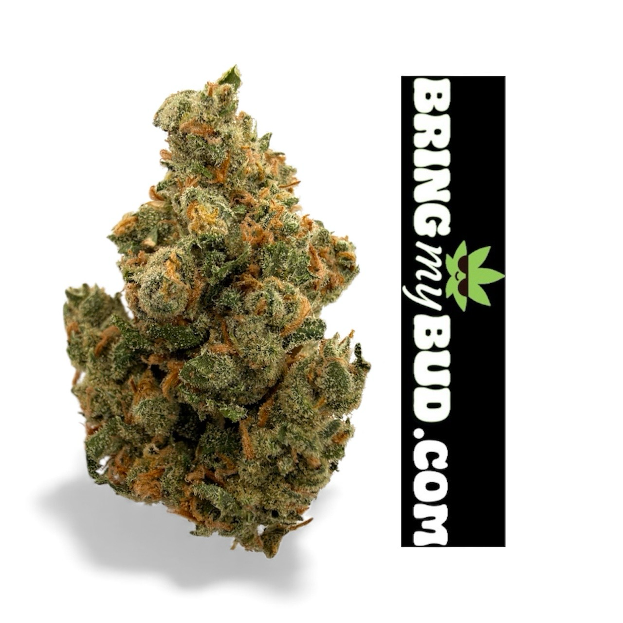 1/2oz JACK HERER (SATIVA TOP SHELF) 33.91%