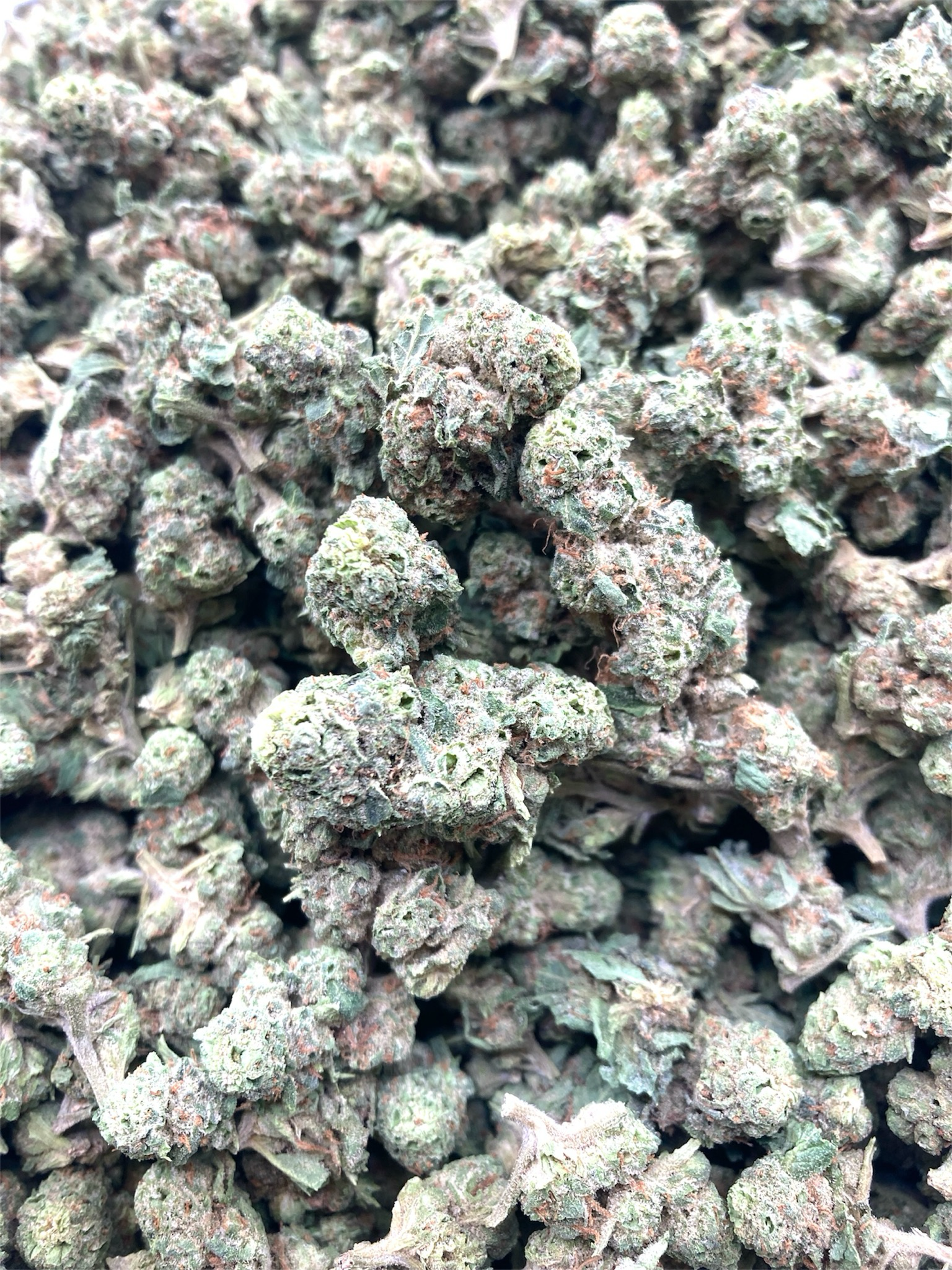 1/2oz CITRUS CRUSH SMALLS 29.91% (sativa)