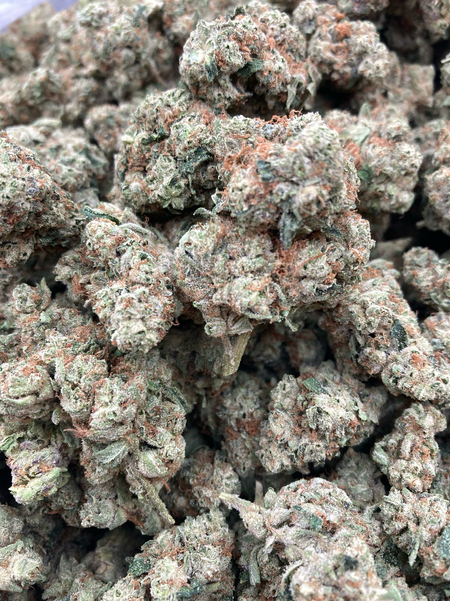 1/2oz G13 34.71%