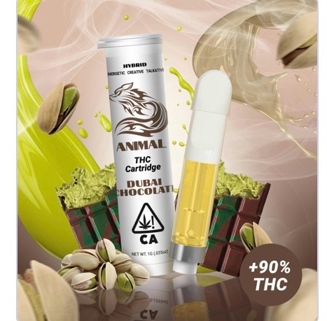 ANIMAL DUBAI CHOCOLATE 510