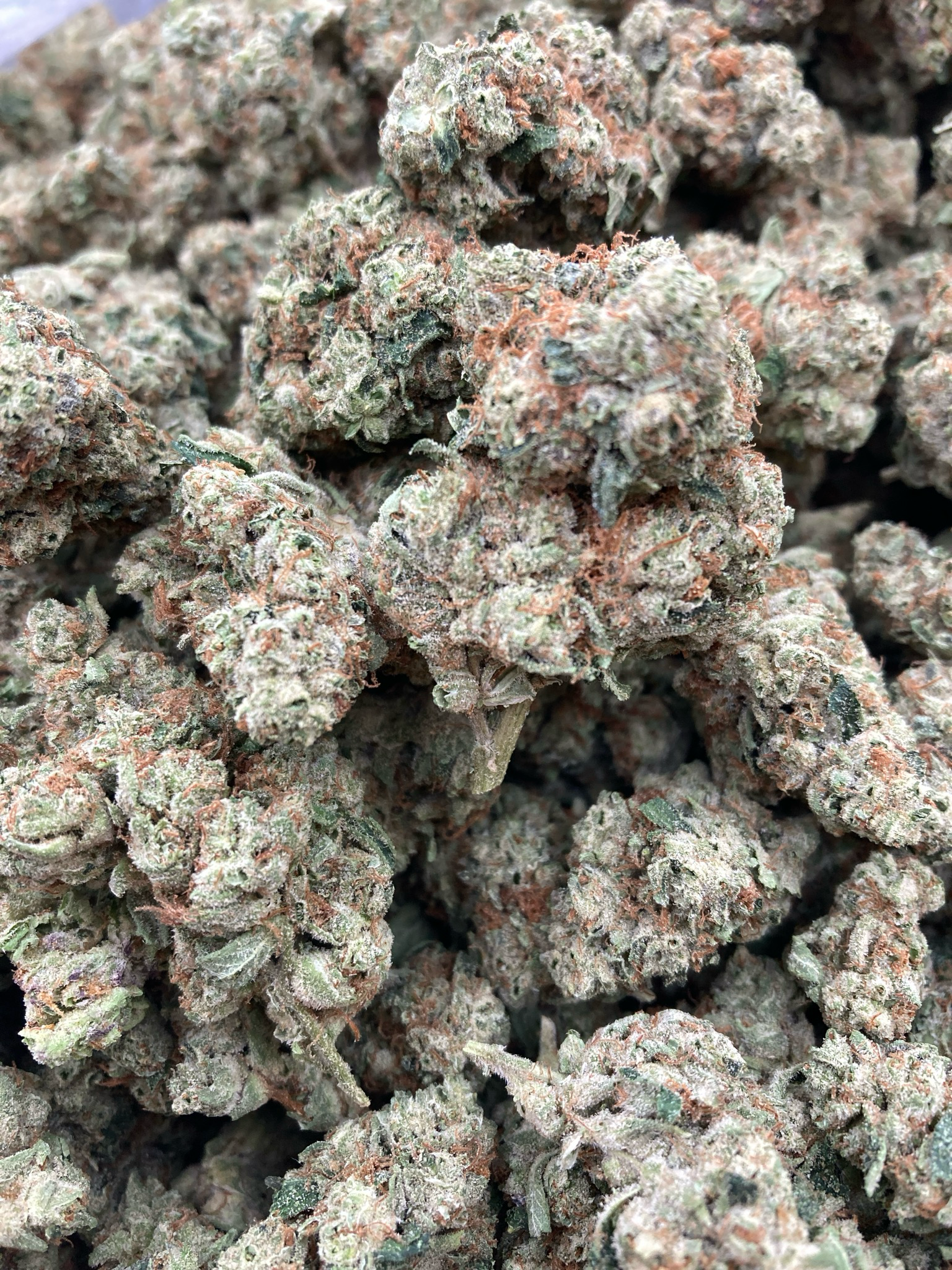 4G G13 34.71%