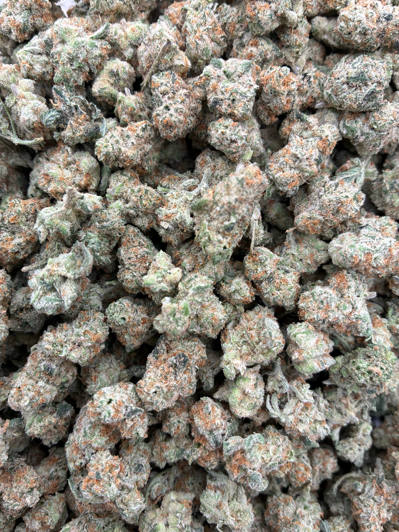 1/2oz Acapulco Gold Smalls 33.12% (sativa)