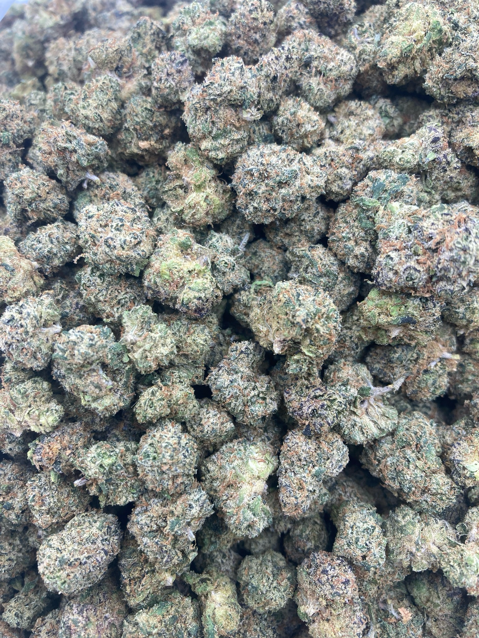 1oz GELATO SMALLS 33.71%