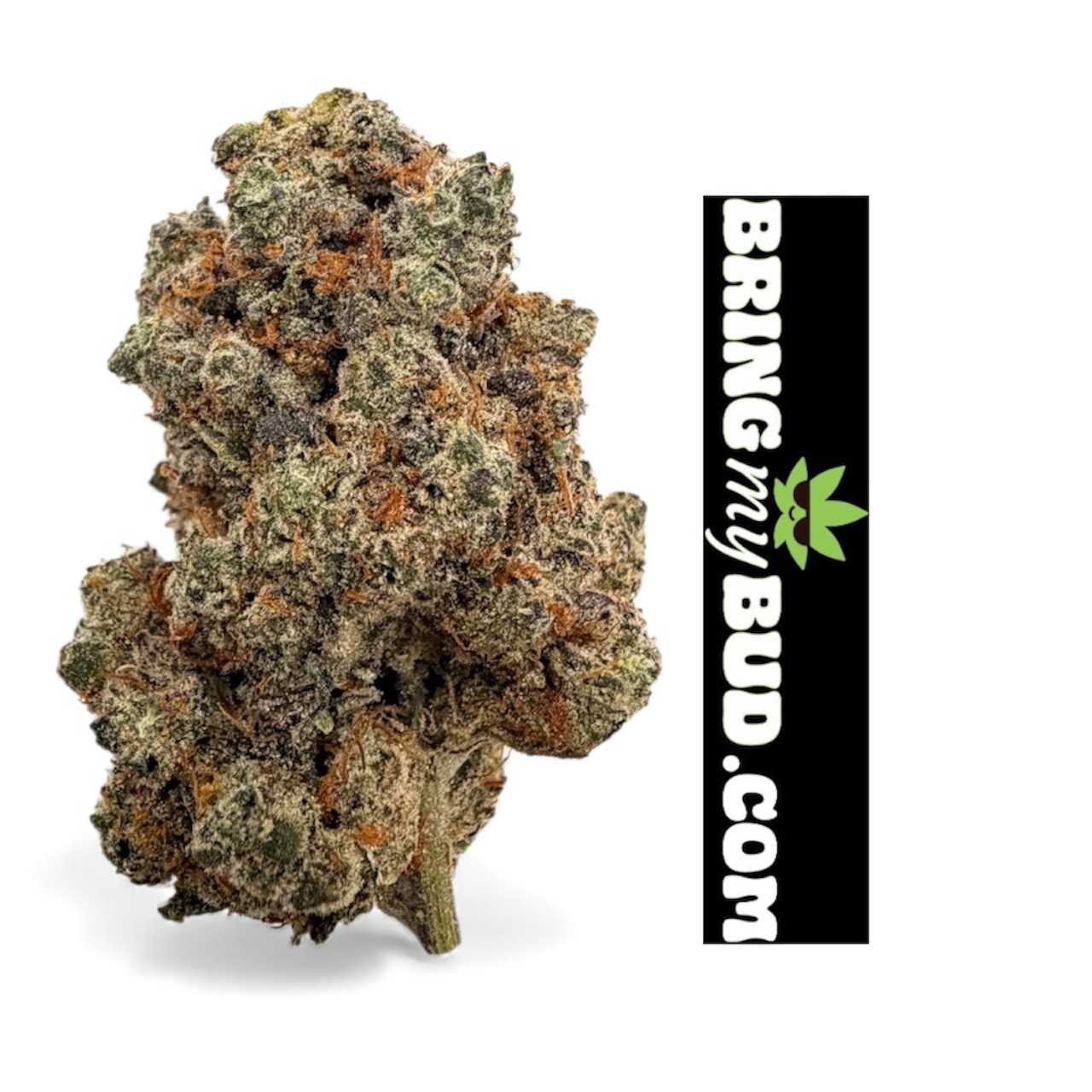 4G LA POP ROCKS (TOP SHELF) 34.98%