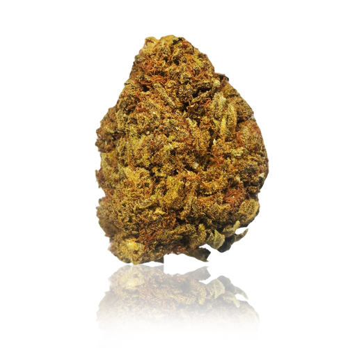 JACKASS - 3.5G