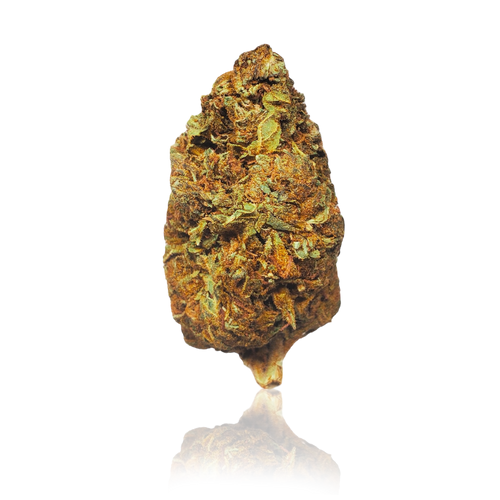 THE FROG - 3.5G