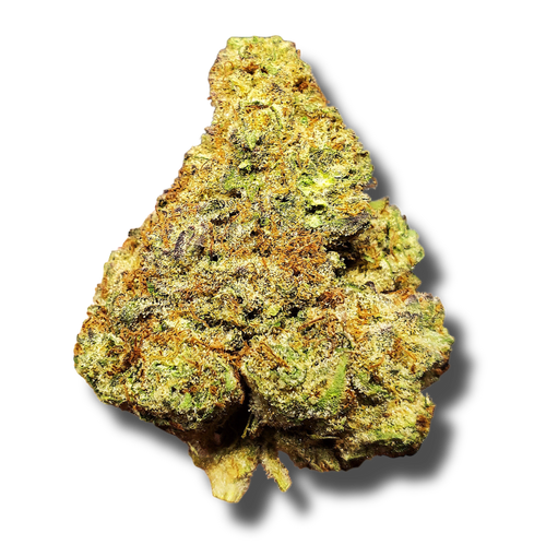 Zercules - 3.5G