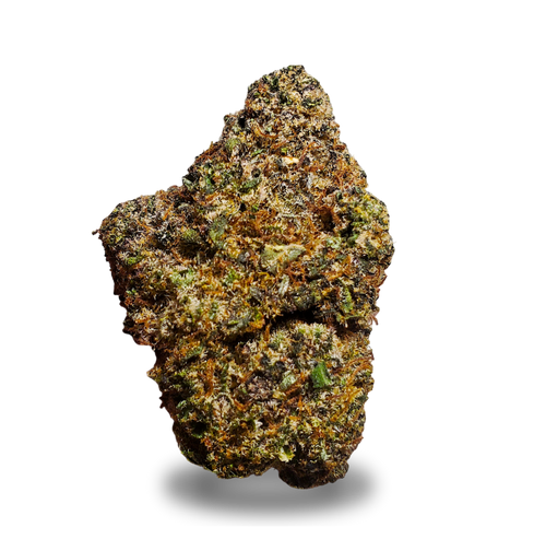 Buzz Light Gear - 3.5G