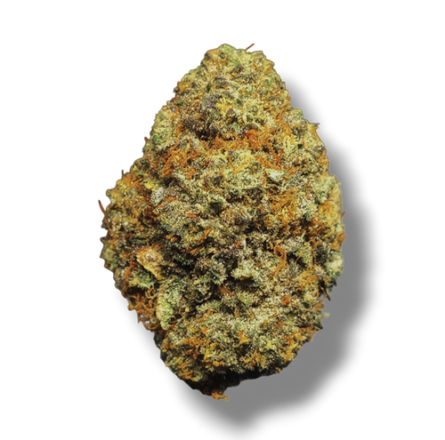 Bacio Gelato - 3.5G