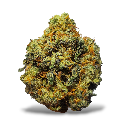 Lion's Heart - 3.5G