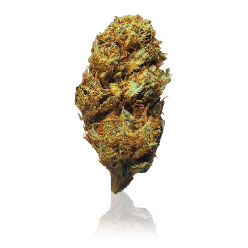 SWAMPY - 3.5G