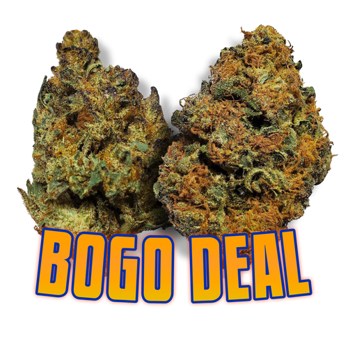 Today's Bogo Deal !