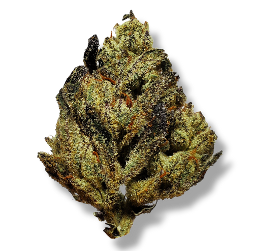 Oreo Mintz - 3.5G