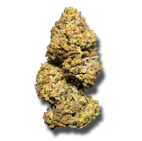 Truffle - 3.5G