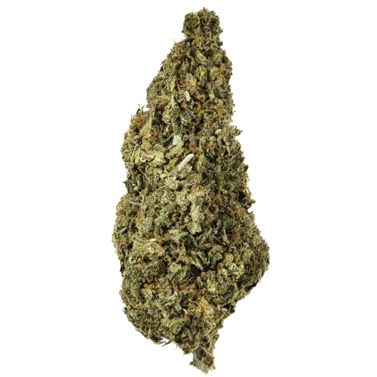 WEST COAST CURE - Gummy Buns - 14G Premium Flower