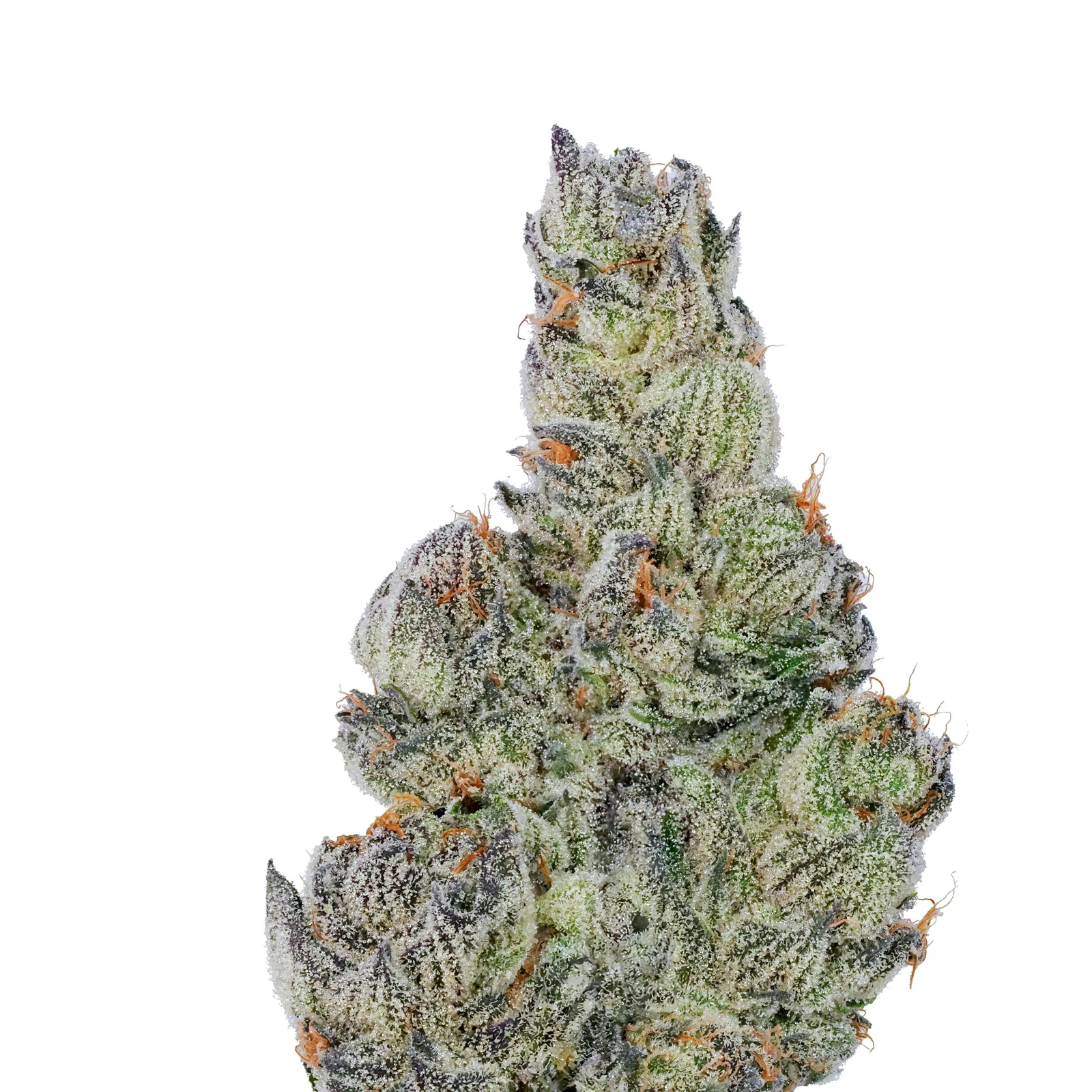 Fig Farms | Kronuts | Big Buds