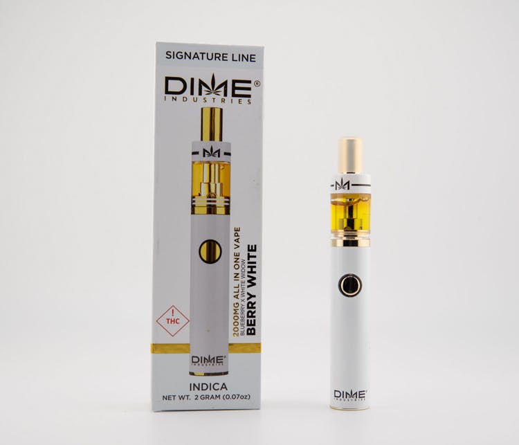 DIME - BERRY WHITE - ALL IN ONE - 2G