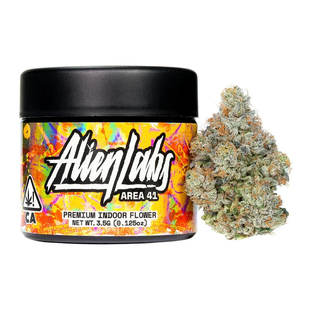 Alien Labs - Area 41 - Indoor