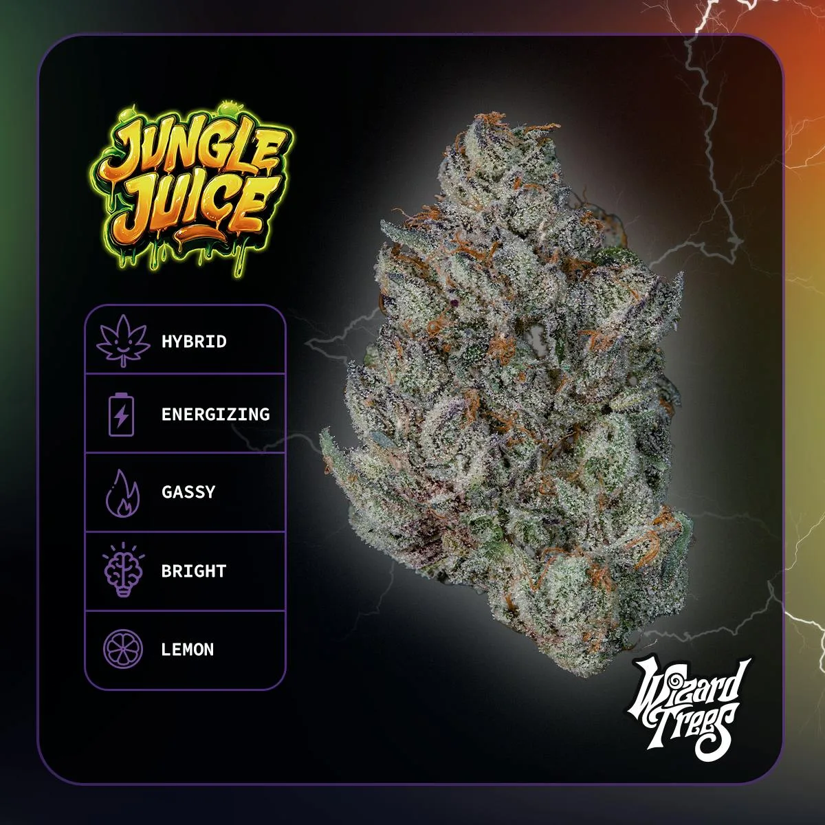 Wizard Trees | 3.5g Flower - Jungle Juice
