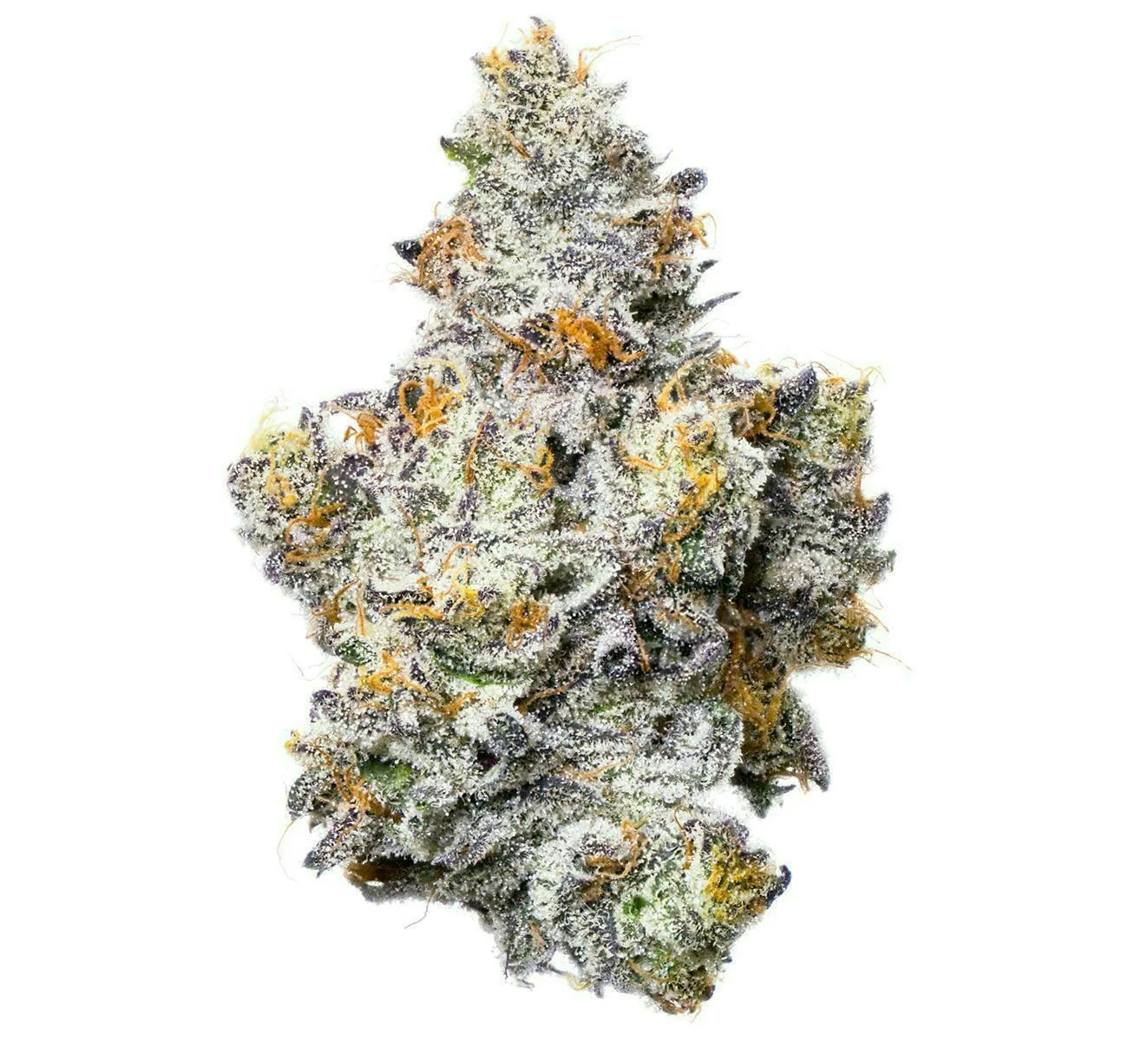 Fig Farms | Cherry Martinelli | Big Buds
