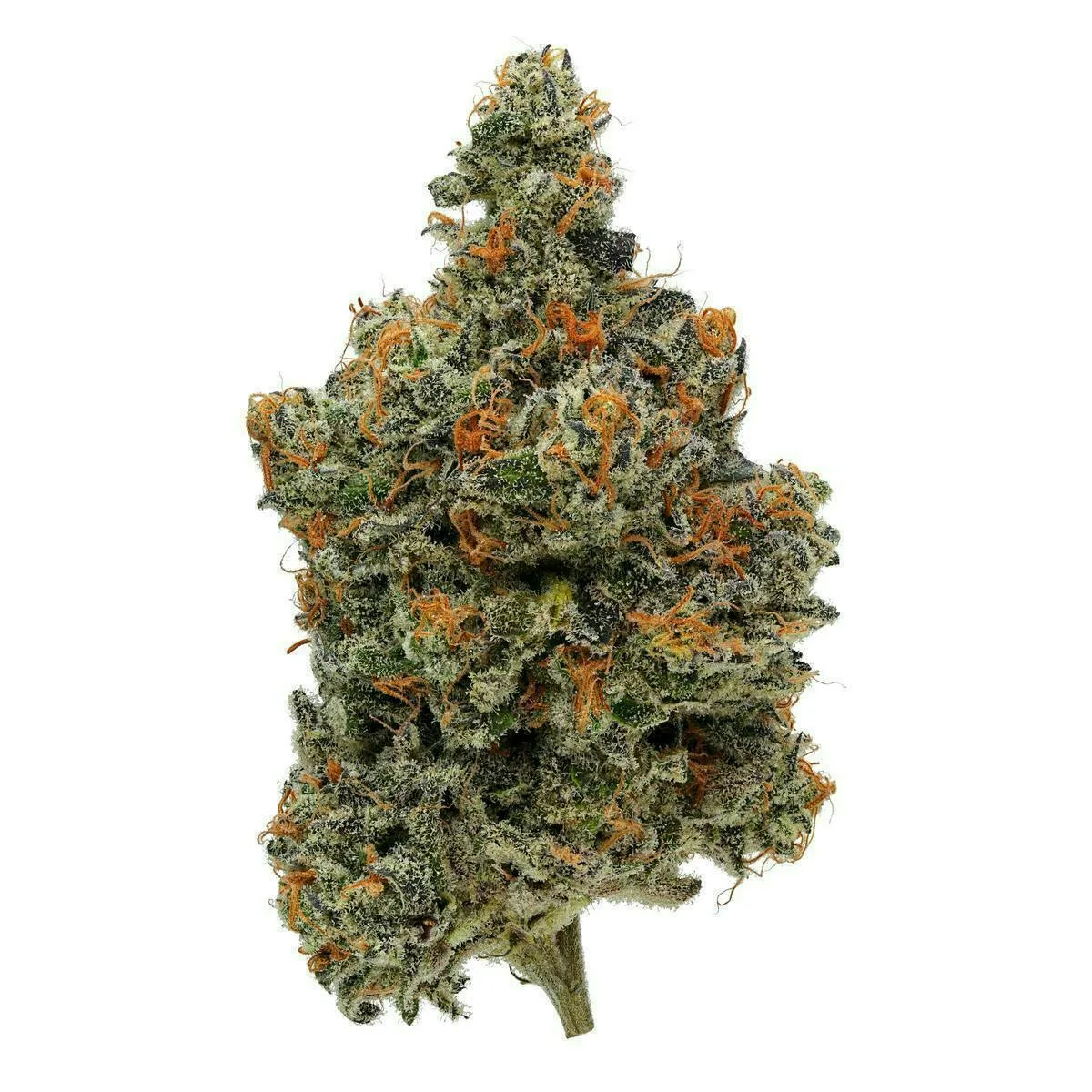Fig Farms | Animal Face | Big Buds